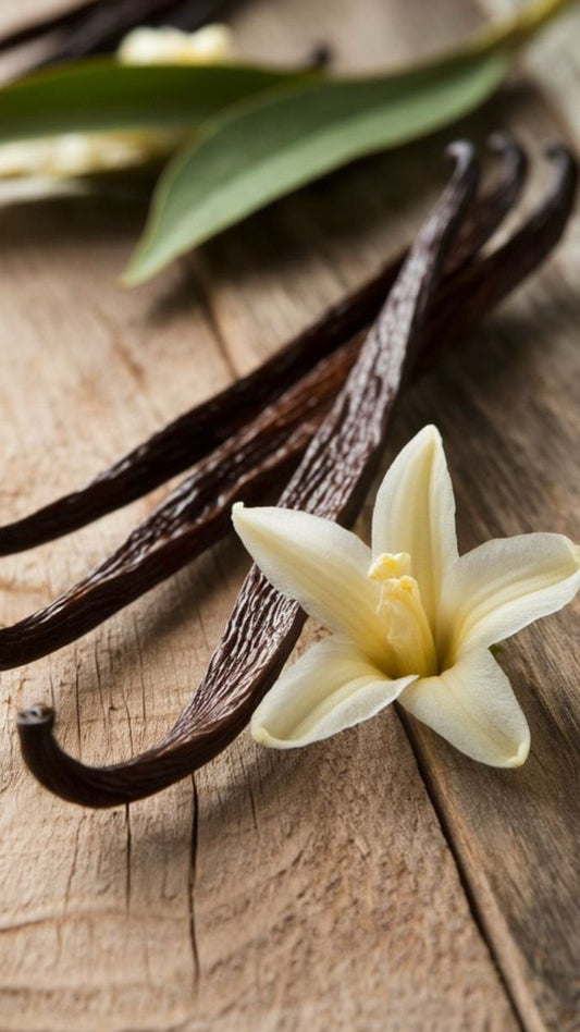 Hand & Body Wash, Patchouli & Amber Vanilla